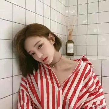 美的世界