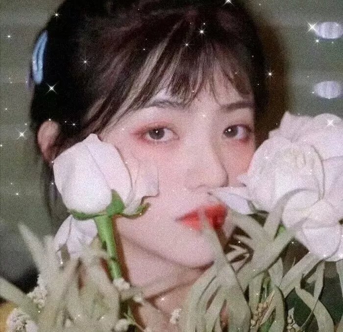巴西香粉寮